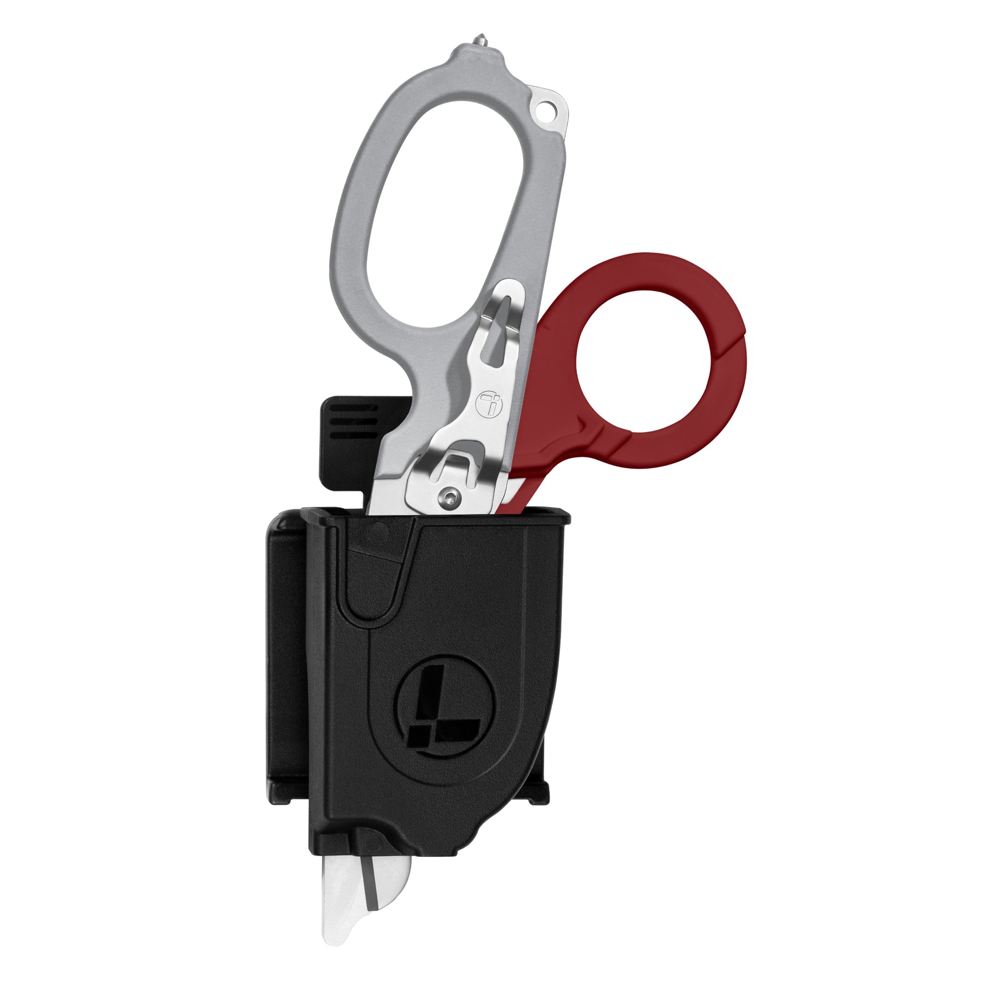 raptor_rescue_20260402201632_423r.jpg
